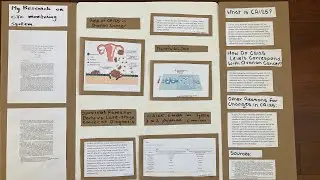Arkita A -Ovarian Cancer Monitoring System - International Research Olympiad | Lumiere Special Award
