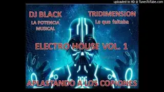 ELECTRO HOUSE vol.1   tridimension    BY Dj black