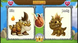 NEW BREEDING: Double Terra Dragon & New Terra Dragon | DRAGON CITY 😍