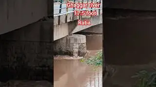 Ratia news | Ghaggar river ratia | haryana news #haryana #ghaggar #ratialive #hr #ratia #riverflood