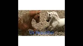Scars to your beautiful Schleich Music Video