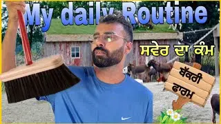 My Daily work in goat farm ਬਕਰੀਆਂ ਦਾ ਕੰਮ