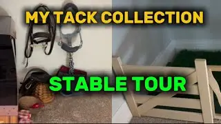 Stable Tour and Tack Collection | Mini LeMieux Ponies