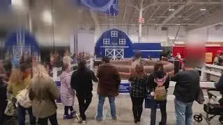 The Royal Agricultural Winter Fair mechanical bull ride