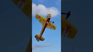 Up Close with Mark's Yak 55m 1/2 scale 3D Plane