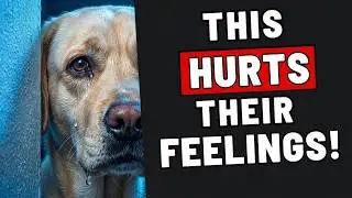 22 Everyday Things That Break Your Dog&rsquo;s Heart | Dog Training
