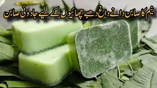 How to make Neem soap at home | acni treat soap | soap making business idea.