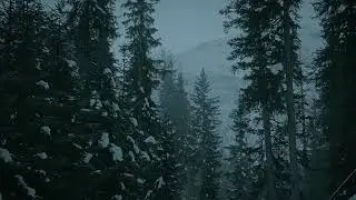 Icy Rain - 8 Hours of ice rain falling in a dark forest