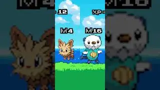 How Long Does It Take To Hit Level 100 Using Route 1 Only In Pokemon Black And White
