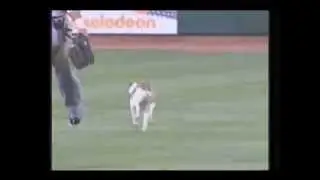 Dog Poops On Field At Baseball Game!