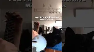 Banjo Tabs - You Were My Sunshine 😭☀️