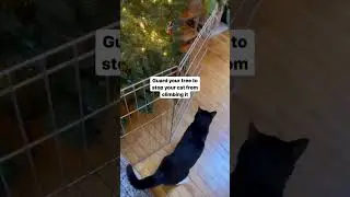 Pet Safety Holiday Tips