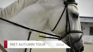 LACONTINO - Edouard Rothschild de - Gold 2 - 1,35m - Valencia (30.10.2014)