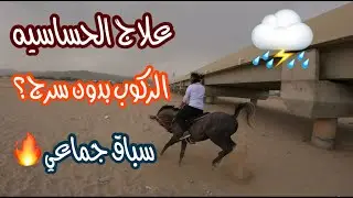 # فلوق (14) كيف اركب حصان بدون سرج🐎+ علاج الحساسيه للخيل +سباق🔥