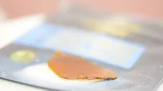 Holy Grail Shatter Seven star 7 Star Bc Shatter