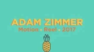 Adam Zimmer | Motion Reel 2017