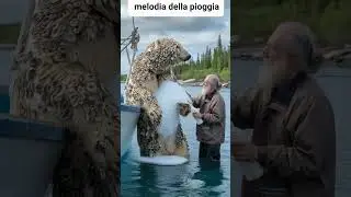 Un ours avec des millions de balanes sur son corps demande de l'aide &agrave; un vieux p&ecirc;cheur