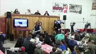 Gaffney Family Cattle Bull & Female Production Sale 2-20-2022 Broadcast on LiveAuctions.TV
