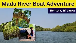 Mesmerizing Madu River Boat Safari Highlights, Sri Lanka
