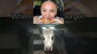 Go vegan for the animals