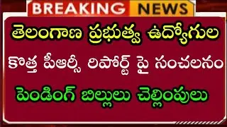 Telangana Government Employees and Pensioners New PRC report | TG PRC,DA,DR,IR |