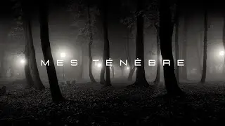 &Eacute;claire mes t&eacute;n&egrave;bres - prayer instrumental by Cristal 22