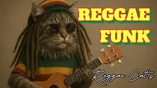 REGGAE FUNK | Best Relaxing Reggae