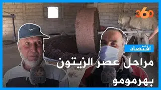 مراحل عصر الزيتون داخل معصرة تقليدية بنواحي  صفرو
