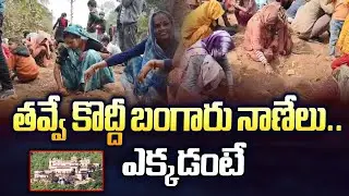 Madhya Pradesh : తవ్వే కొద్దీ బంగారు నాణేలు..ఎక్కడంటే - TV9