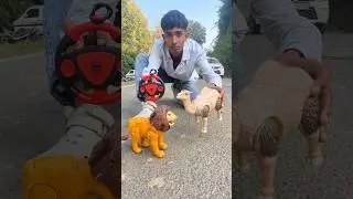New RC  remote control Camel Vs Lion 🦁Ki Unboxing 🤗