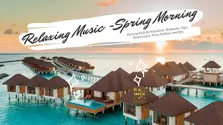 Relaxing Music - Spring Morning, Guitar music