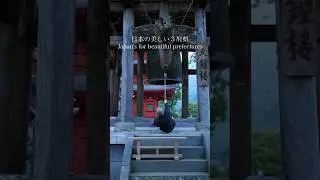 how to learn japanese fast and easy? Hi I'm vanshika... I give free advice and tips to learn