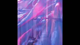 Mirror of Venus - Never Say Forever