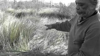 Sweetgrass basket Gullah Geechee By Gregory Grant  1 of two Videos