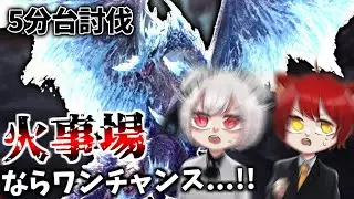 【MHWI】初戦から最高の連携を魅せる
