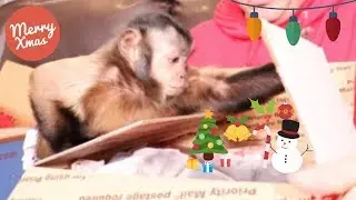 Pretty Monkey Diva Unboxes Her Christmas Gifts!