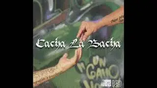 Cacha La Bacha - Gallo Estrada X Vector MX (Audio)