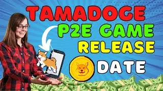 Tamadoge AMA Today! Top 6 Things You Must Know About Tamadoge Game