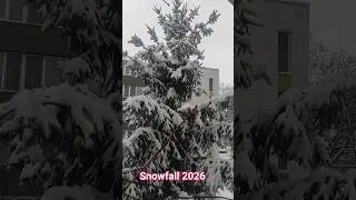 Lovely Snowfall | Snow Fall 2026 | #Snowfall #Nature #Memories #abbottonians #coffee #snowcovered