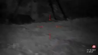 Texas Wild Boar night vision hunt ATN x sight II