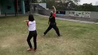 Tai Chi (Bagua Zhang) Eight Trigram Palms