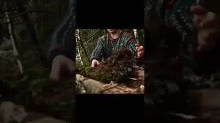 #survivalbuild #survival #survivalbuilding #wood #outdoorsurvival #camping #bushcraft