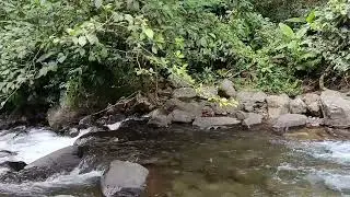  Crystal Clear Mountain River Naturally | Pure Relaxing River Sound