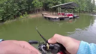 I Lost My Personal Best Bass