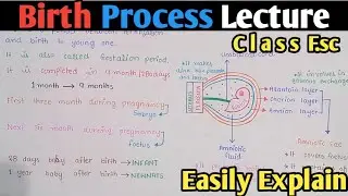 Birth Process Detailed Lecture | Gestation Period | Parturition | Class 12 Biology