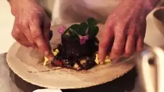 Foraging 101: How to forage for ingredients to include in your meals!