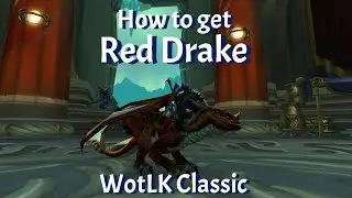 How to get Red Drake--WotLK Classic
