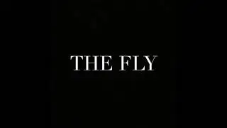 Short film: The Fly by Katherine Mansfield