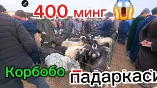 400 минг😱🐐 Улокча Эчки Сарка Карши карвон мол 🐄 бозори 29 декабрь qarshi karvon mol bozori