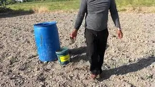 KALABASA FARMING WITH KUYA NALD